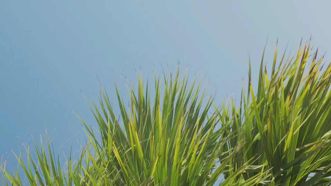 Timeless Style, Boldly Reimagined